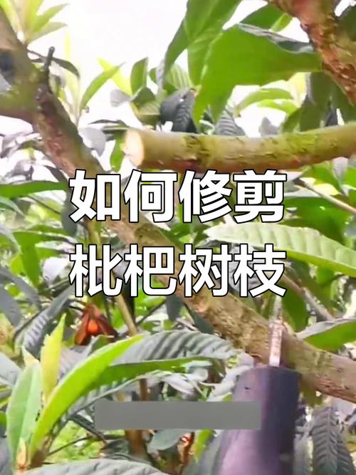 常见问题解答（FAQ）