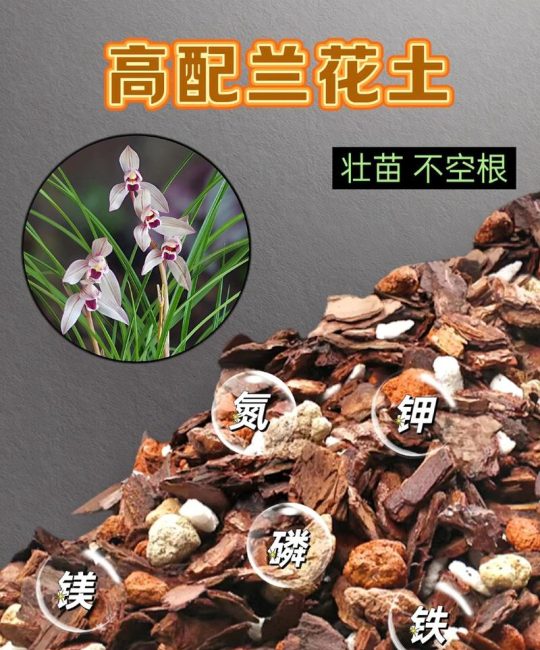 兰花用泥炭土好吗？资深兰友详解优缺点与正确用法