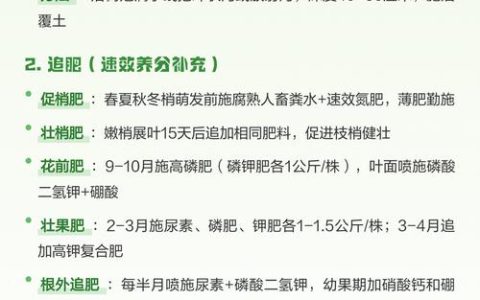 枇杷开花时可以施肥吗？花期施肥全攻略，这样操作不伤花