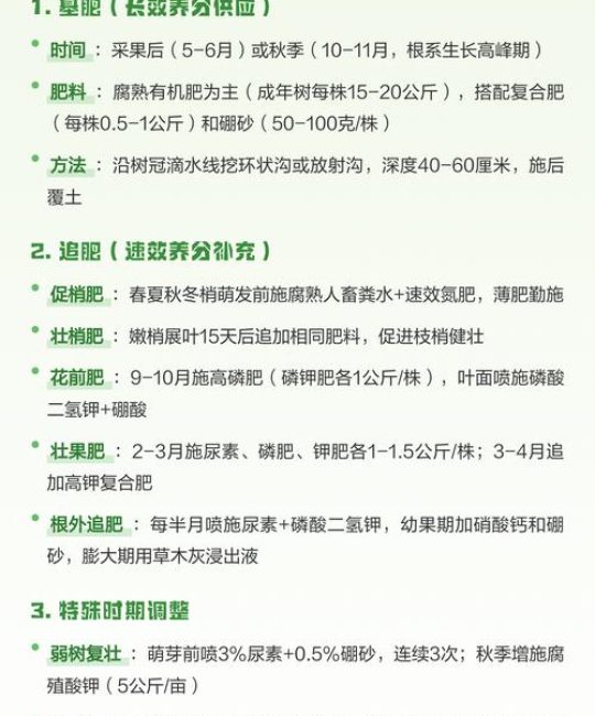 枇杷开花时可以施肥吗？花期施肥全攻略，这样操作不伤花