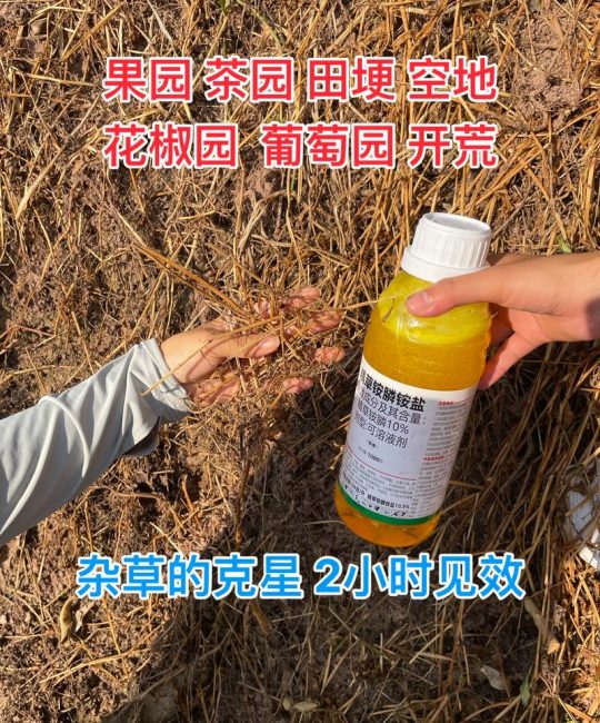 牛筋草用什么除草剂能杀死？高效清除顽固杂草的3种方案