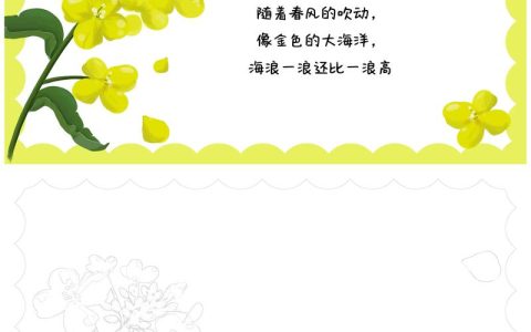 什么的油菜花？一篇文章带你了解油菜花的品种与园艺价值