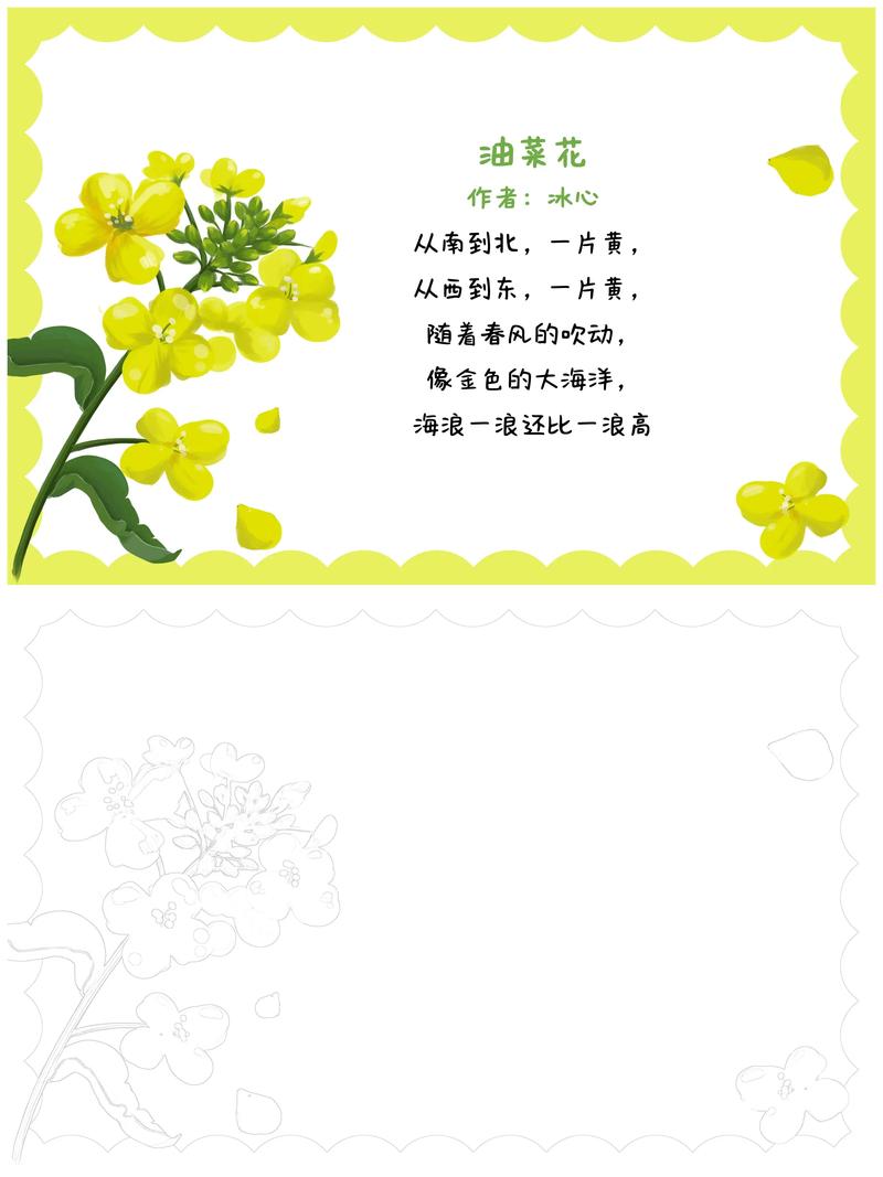 什么的油菜花?一篇文章带你了解油菜花的品种与园艺价值 品种选择:不只是“土油菜”