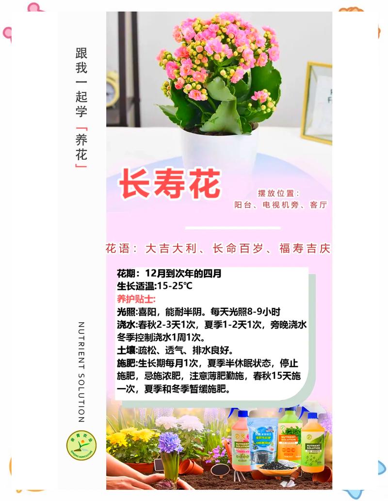 越冬与越夏管理