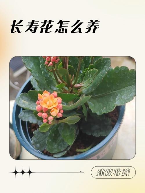 常见误区与纠正
