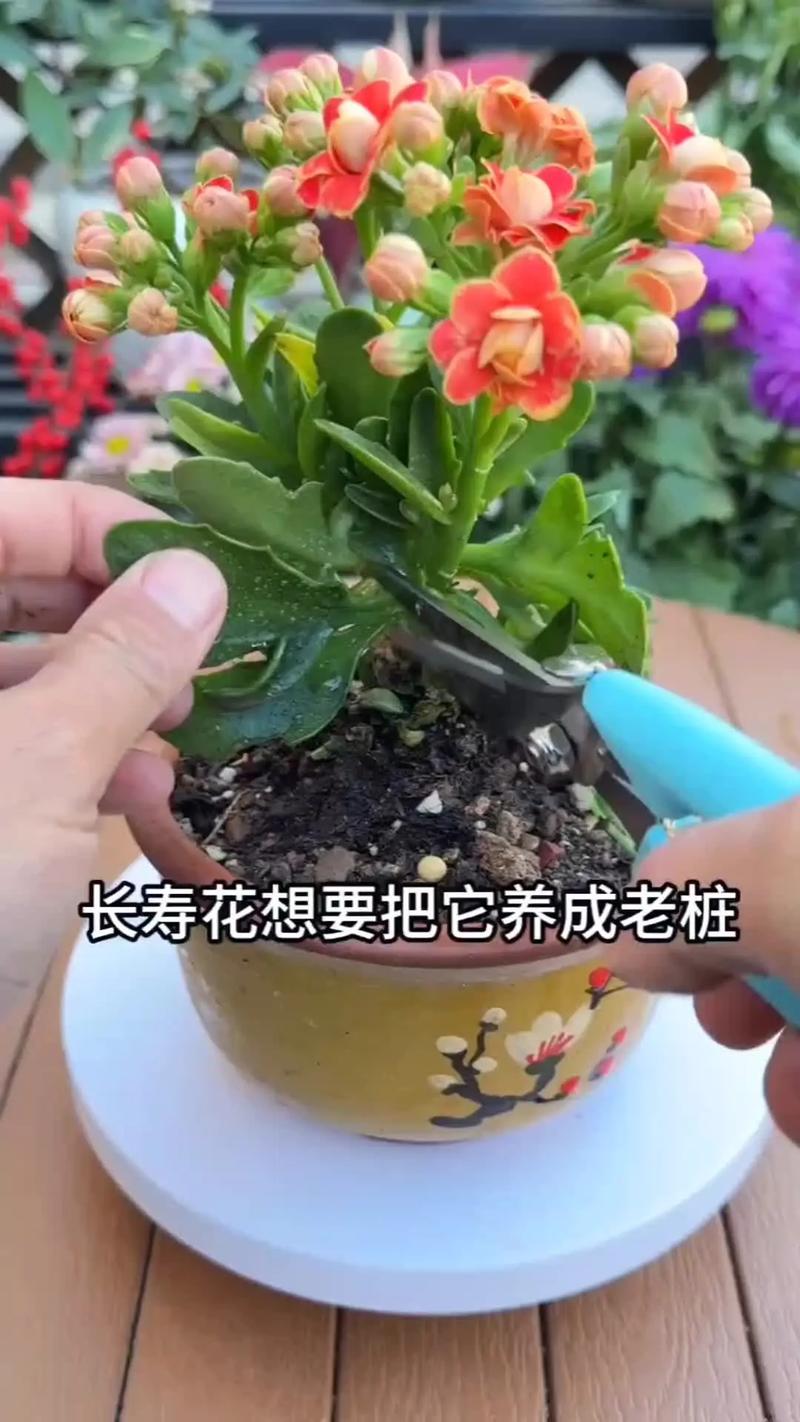 总结