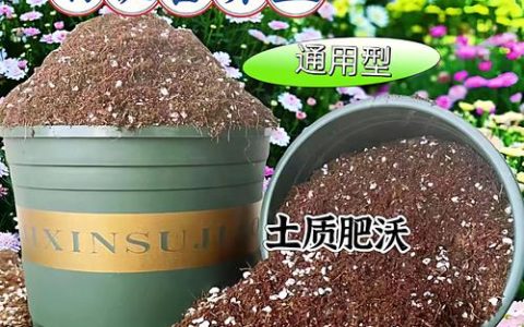 营养土种菜好吗？深度解析家庭园艺的土壤选择与技巧