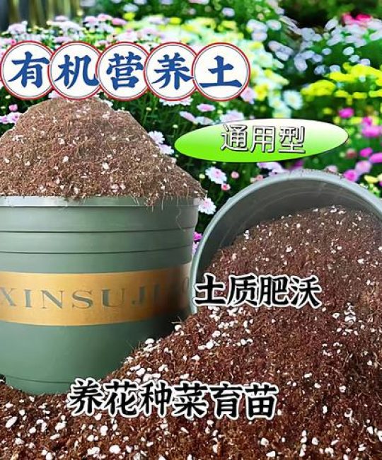 营养土种菜好吗？深度解析家庭园艺的土壤选择与技巧