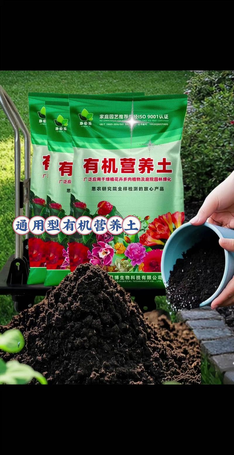 营养土种菜好吗?深度解析家庭园艺的土壤选择与技巧 二、营养土种菜的优势