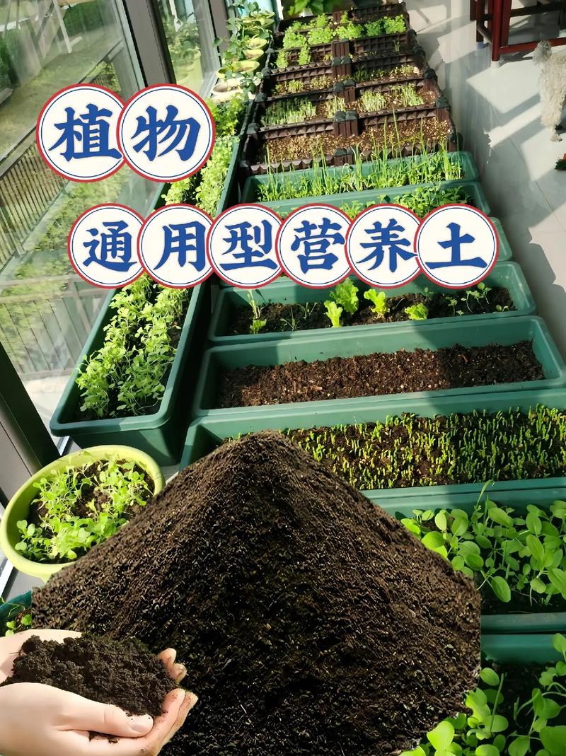 营养土种菜好吗?深度解析家庭园艺的土壤选择与技巧 四、如何正确使用营养土种菜?