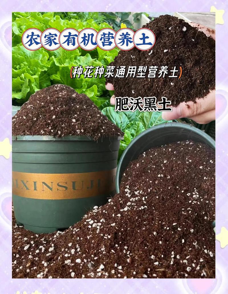 营养土种菜好吗?深度解析家庭园艺的土壤选择与技巧 五、总结:营养土到底好不好?