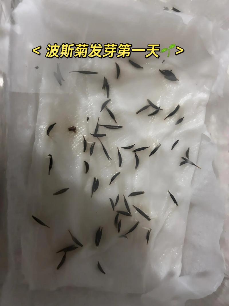 越冬与越夏清单