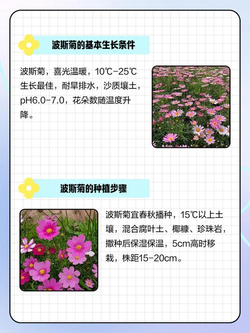 盆栽还是地栽：三个判断依据