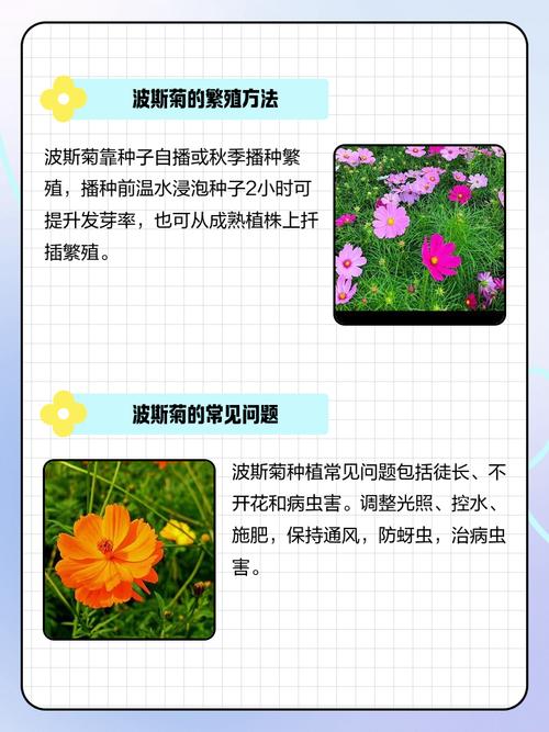 常见误区与纠正