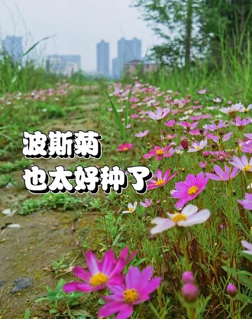 总结