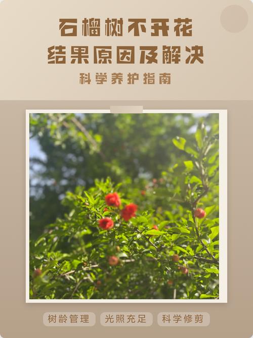 科学修剪技术