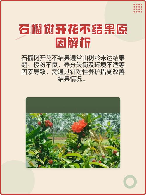 光照与温度调控