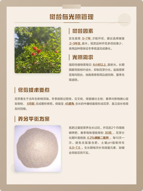 水肥管理策略