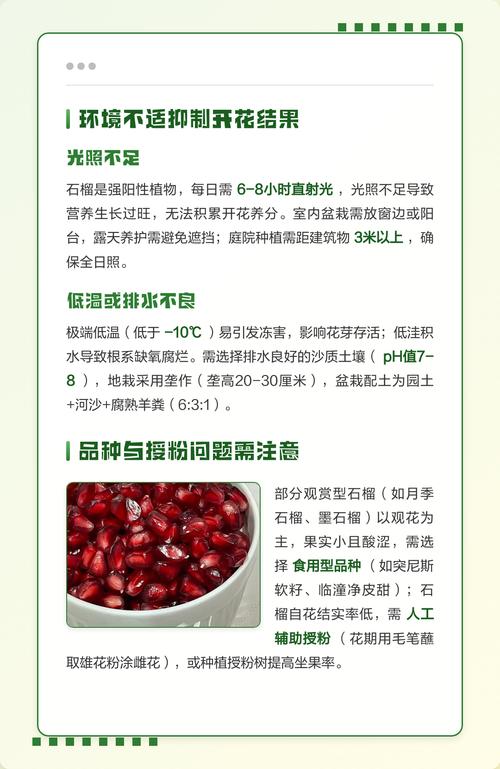 常见病虫害防治