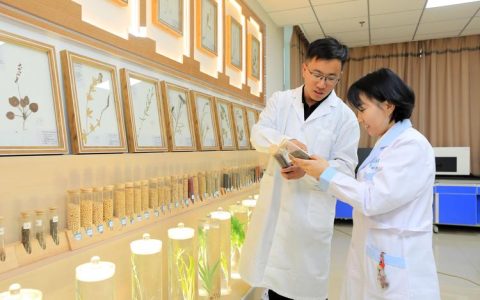 三叶草种子购买渠道的科学评估指南：如何确保品种真实与质量达标