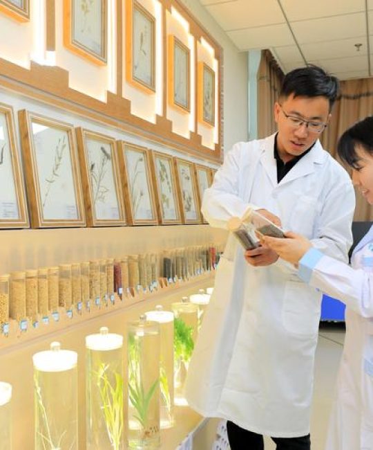 三叶草种子购买渠道的科学评估指南：如何确保品种真实与质量达标
