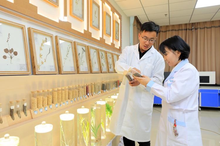 引言：三叶草种子采购的常见误区