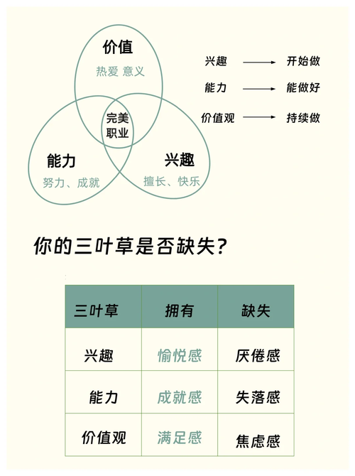 第四步：运输、包装与售后条款