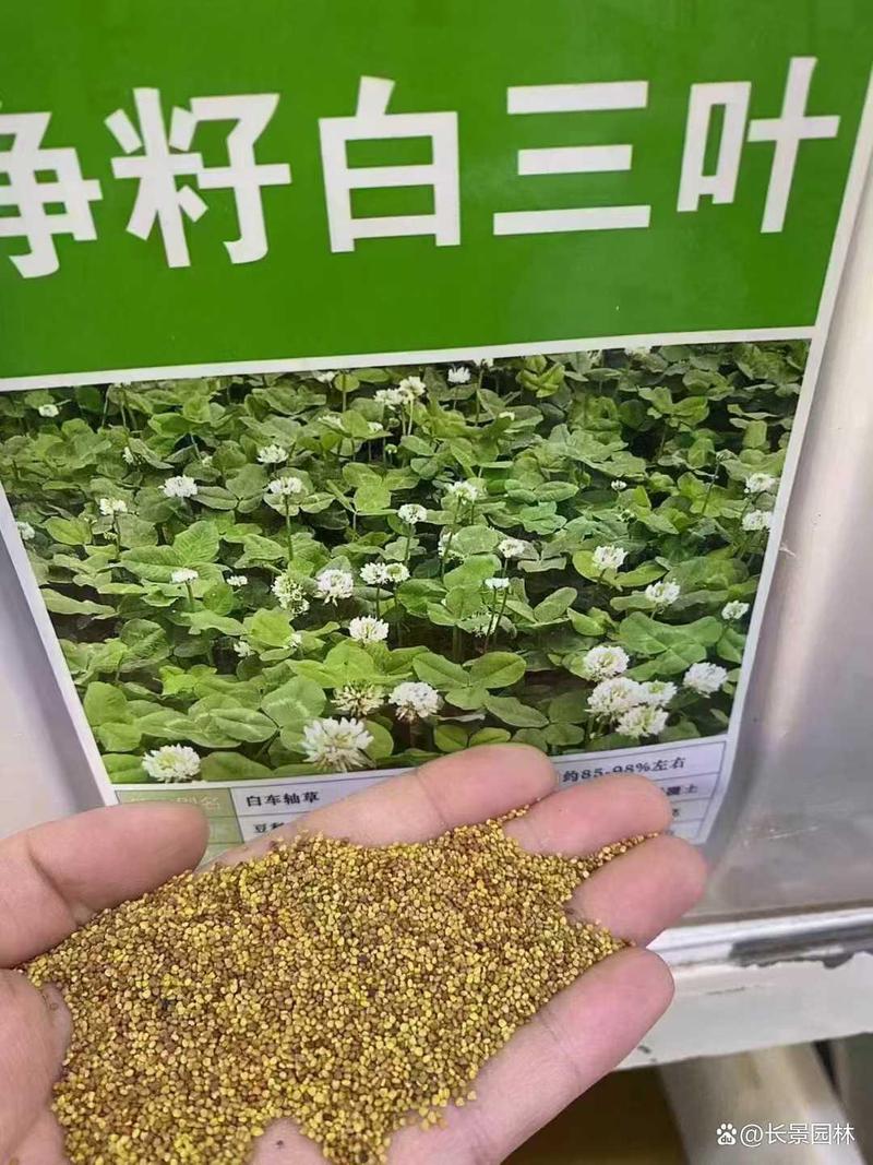 结语