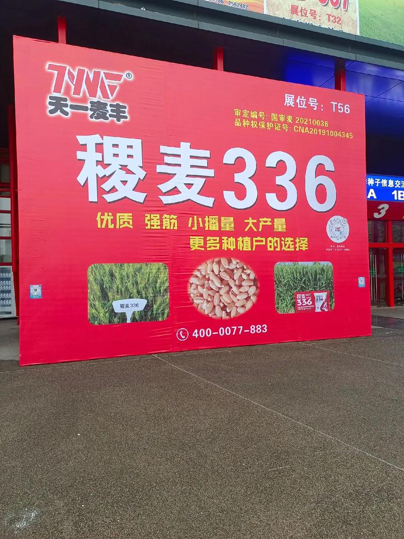 第五步：综合评估与试单建议