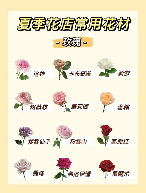 6. 荷花/睡莲：水景花园的灵魂