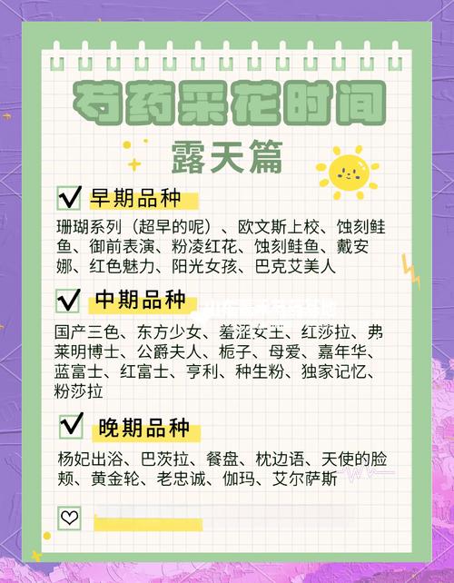 养护贴士：六月份买花要注意