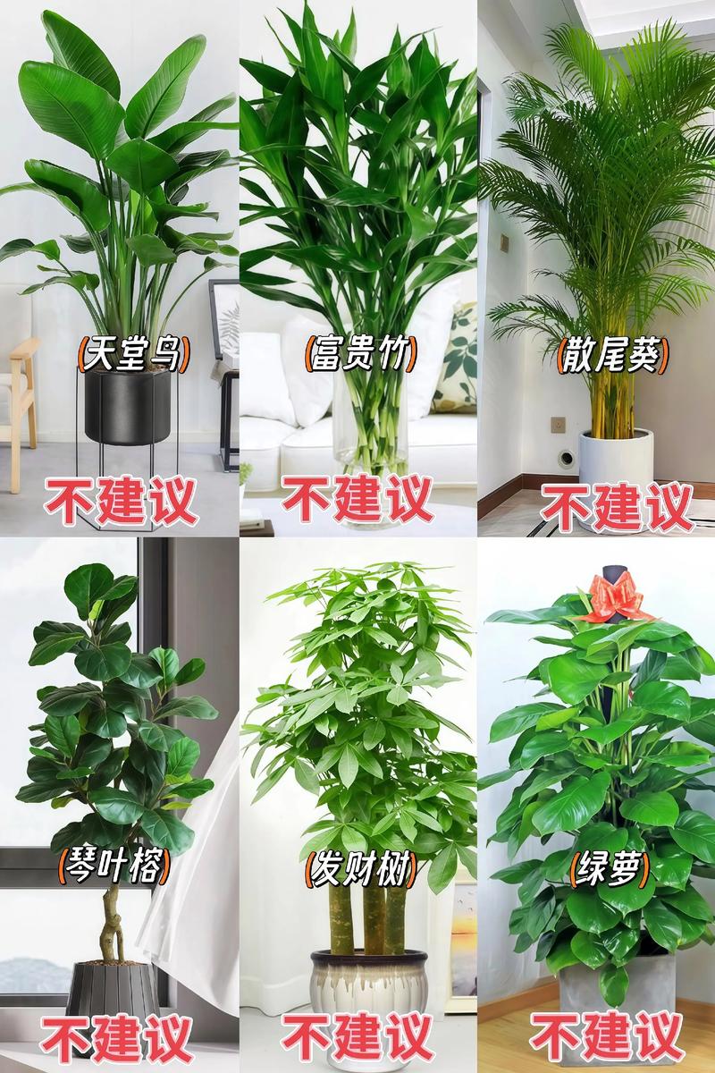 总结