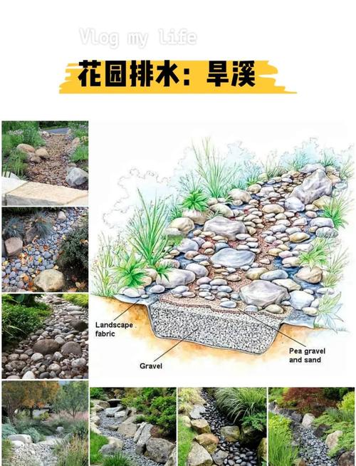 水质净化效率与机制