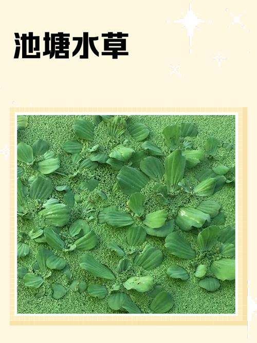 总结