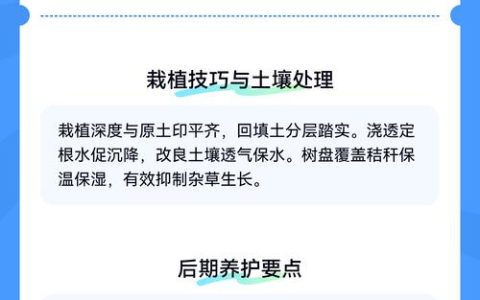 核桃树现在能栽活吗？秋冬栽植关键技术指南