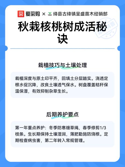 核桃树现在能栽活吗?秋冬栽植关键技术指南 一、现在栽核桃树的适宜时间判断
