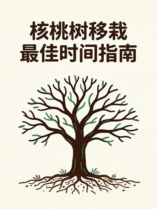 核桃树现在能栽活吗?秋冬栽植关键技术指南 五、浇定根水实操规范