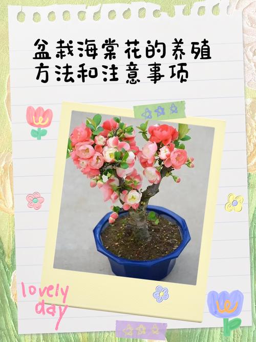 海棠树夏季养护指南:浇水、施肥、遮阴全攻略 修剪:轻剪为主,剪除病弱枝,促进通风