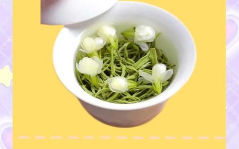 经常喝茉莉花有什么好处？食用、药用与安全指南