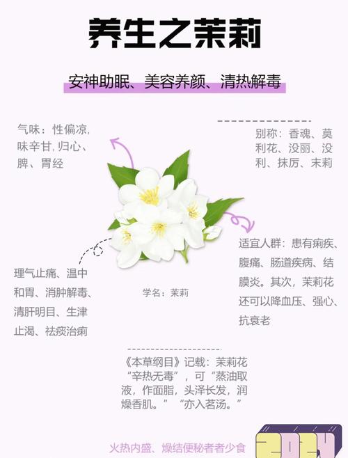 经常喝茉莉花有什么好处?食用、药用与安全指南 二、药用常识:传统记载中的茉莉花
