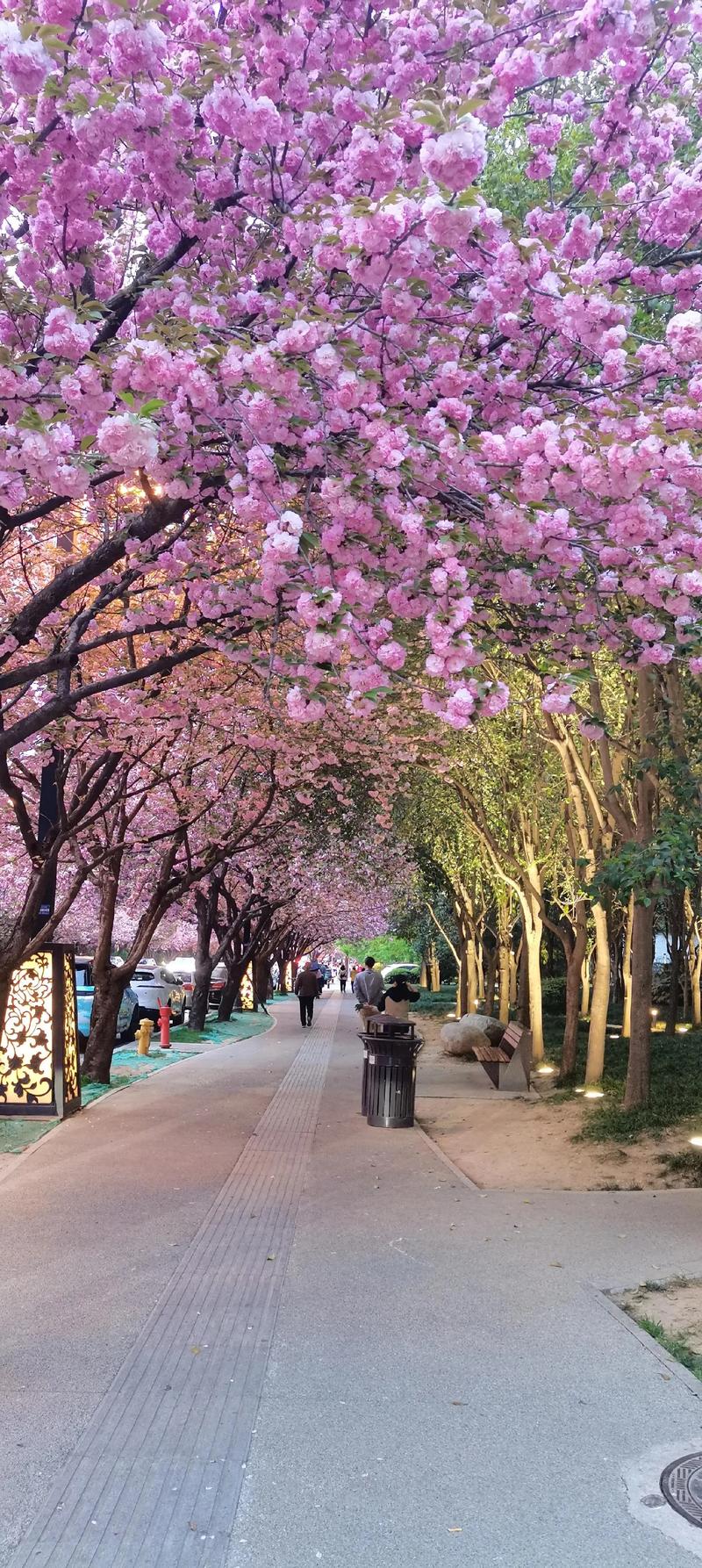 一、景观与风水：开门见喜，但需避讳