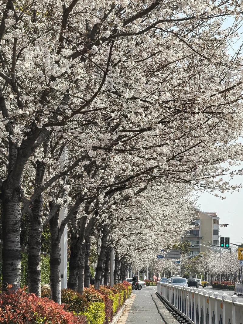 四、替代方案与特殊场景