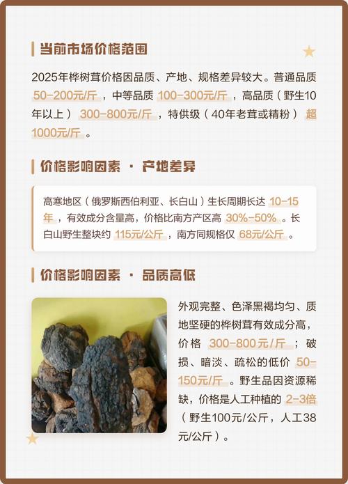 纯的桦树茸多少钱一斤?2025年价格参考与影响因素解析 产地影响 | 俄罗斯与东北产区价差可达30%