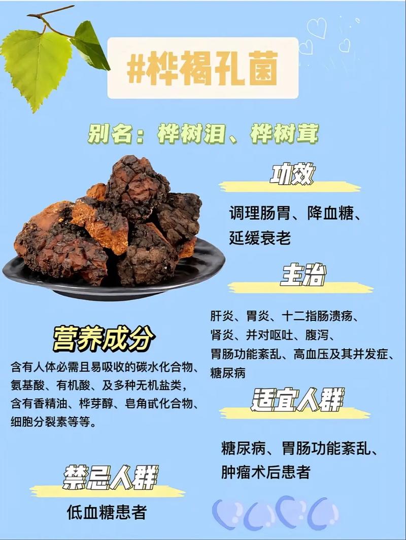 纯的桦树茸多少钱一斤?2025年价格参考与影响因素解析 季节影响 | 春秋两季品质最佳,价格上浮10%-15%