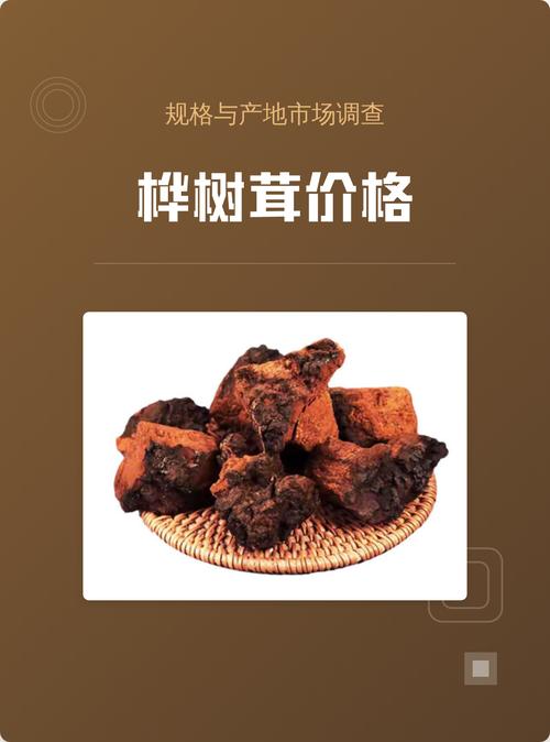 纯的桦树茸多少钱一斤?2025年价格参考与影响因素解析 数量影响 | 批发价可比零售价低30%-40%