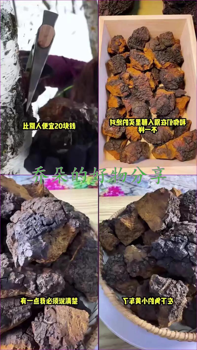 纯的桦树茸多少钱一斤?2025年价格参考与影响因素解析 咨询指南 | 根据您的需求询价