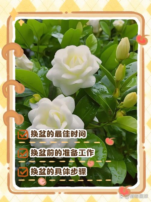 六、常见误区与风险量化