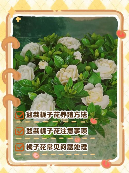 八、总结