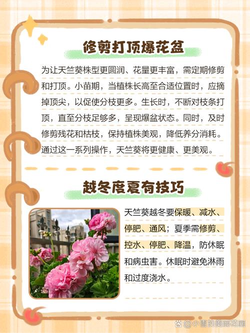 换盆与土壤：选对时机，疏松透气