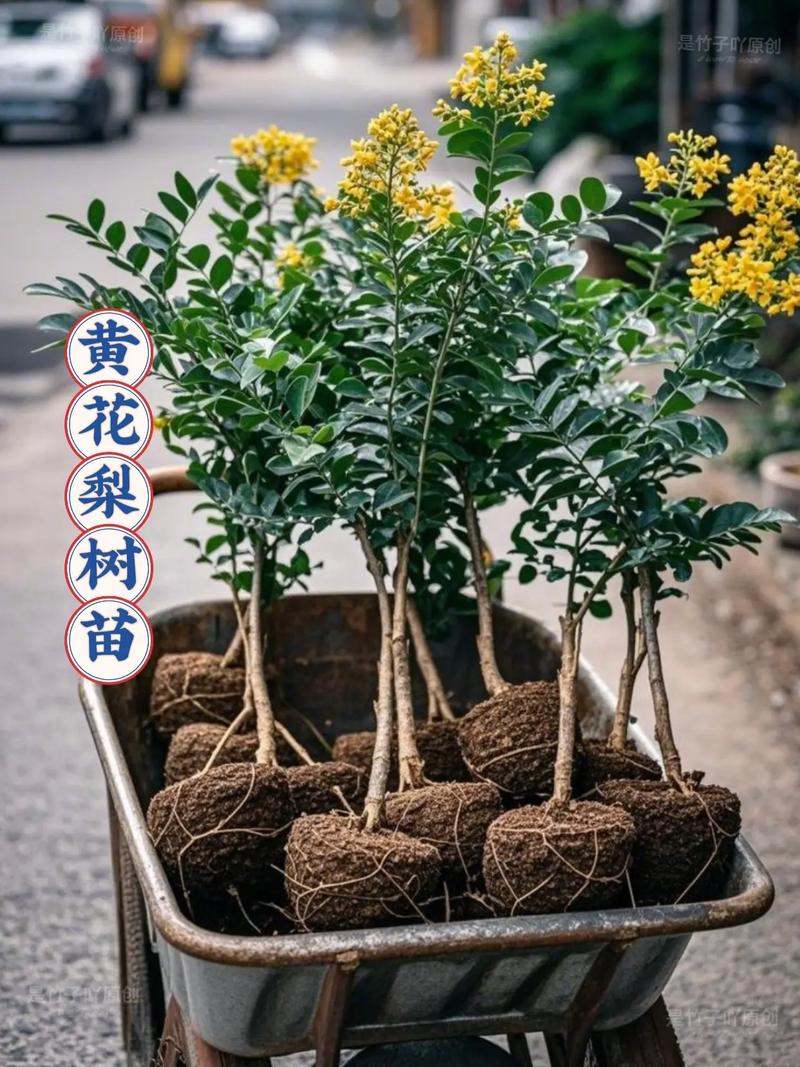 价格参考汇总表